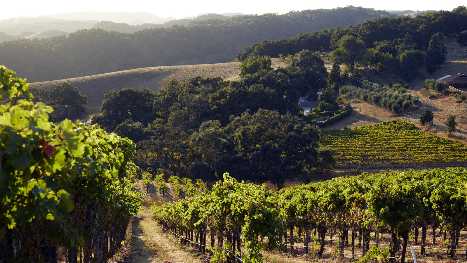 10 Incredible Women-Owned Wineries To Visit In California – Explore
