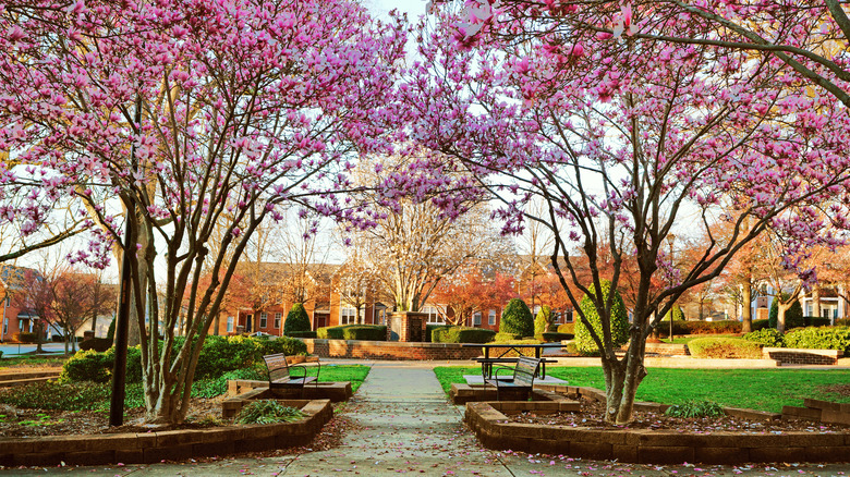 Capitol Park in Raleigh