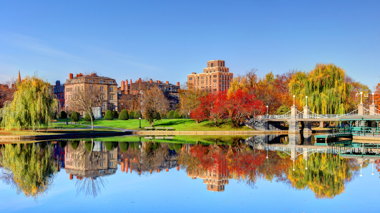 Trees and buildings of the Boston Public Garden reflected in nearby water body