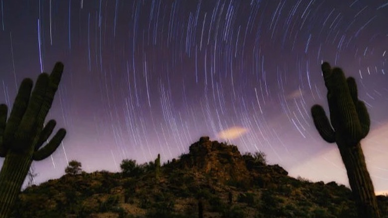 phoenix night sky