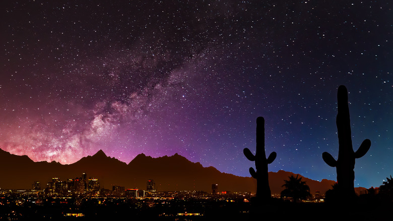 phoenix night sky