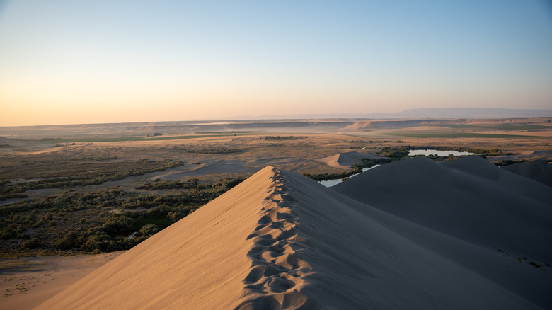 Sand dunes from above in Bruneau Dunes State Park
