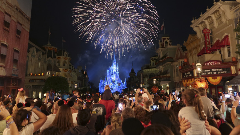Fireworks at Magic Kingdom