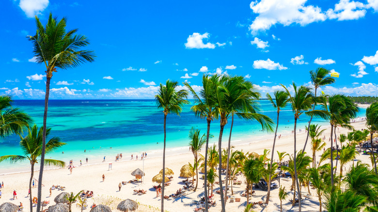 punta cana beach 