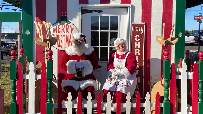 The Clauses at Dzen Tree Farm