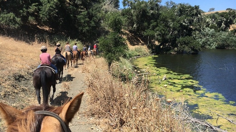 Horseback ride at Alisal Ranch