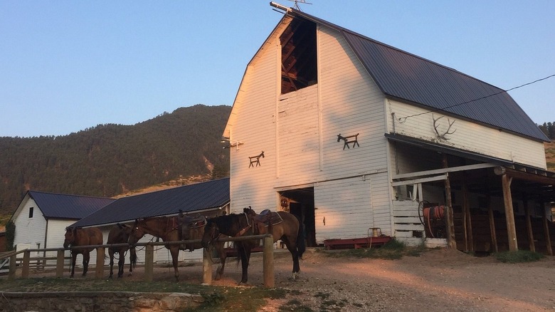 Horse barn at Eatons' Ranch