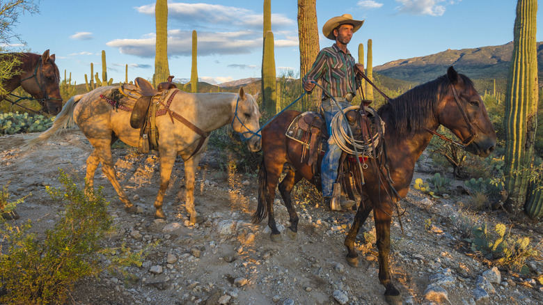 Horseback riding at Tanque Verde Ranch