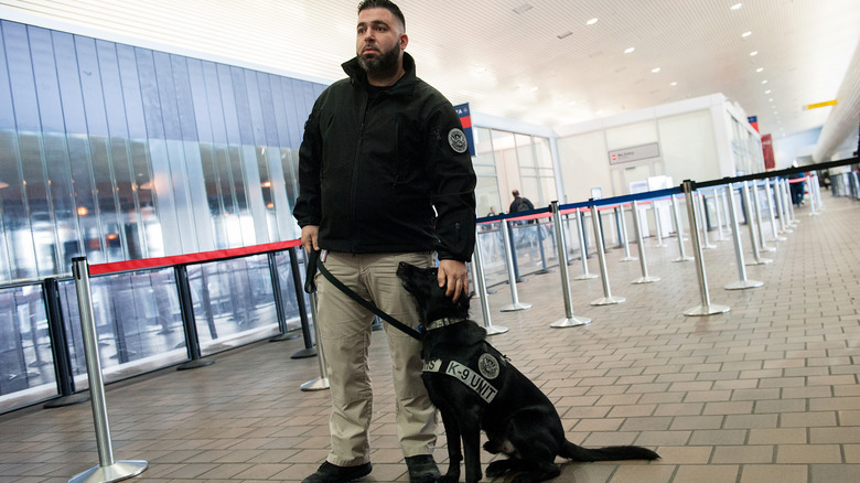 TSA agent with sniffer dog