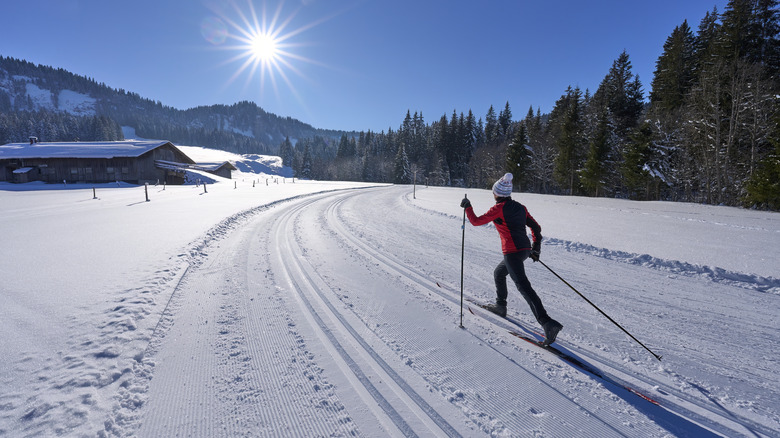 Cross-country skier on trail
