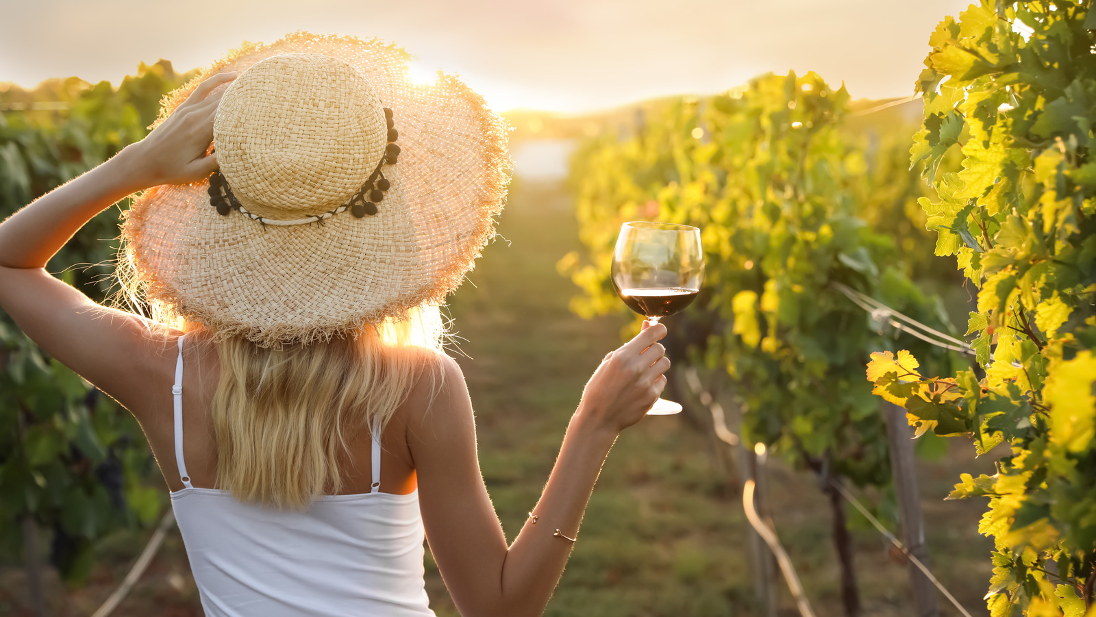 13 BudgetFriendly Wine Destinations In The US