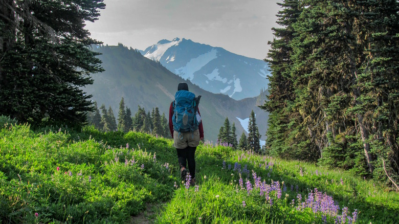 Backpacker before mountains