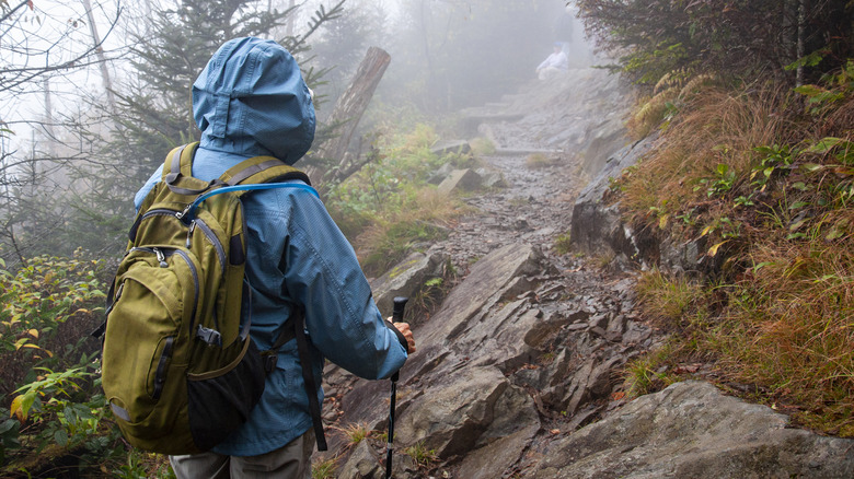 man hiking foggy