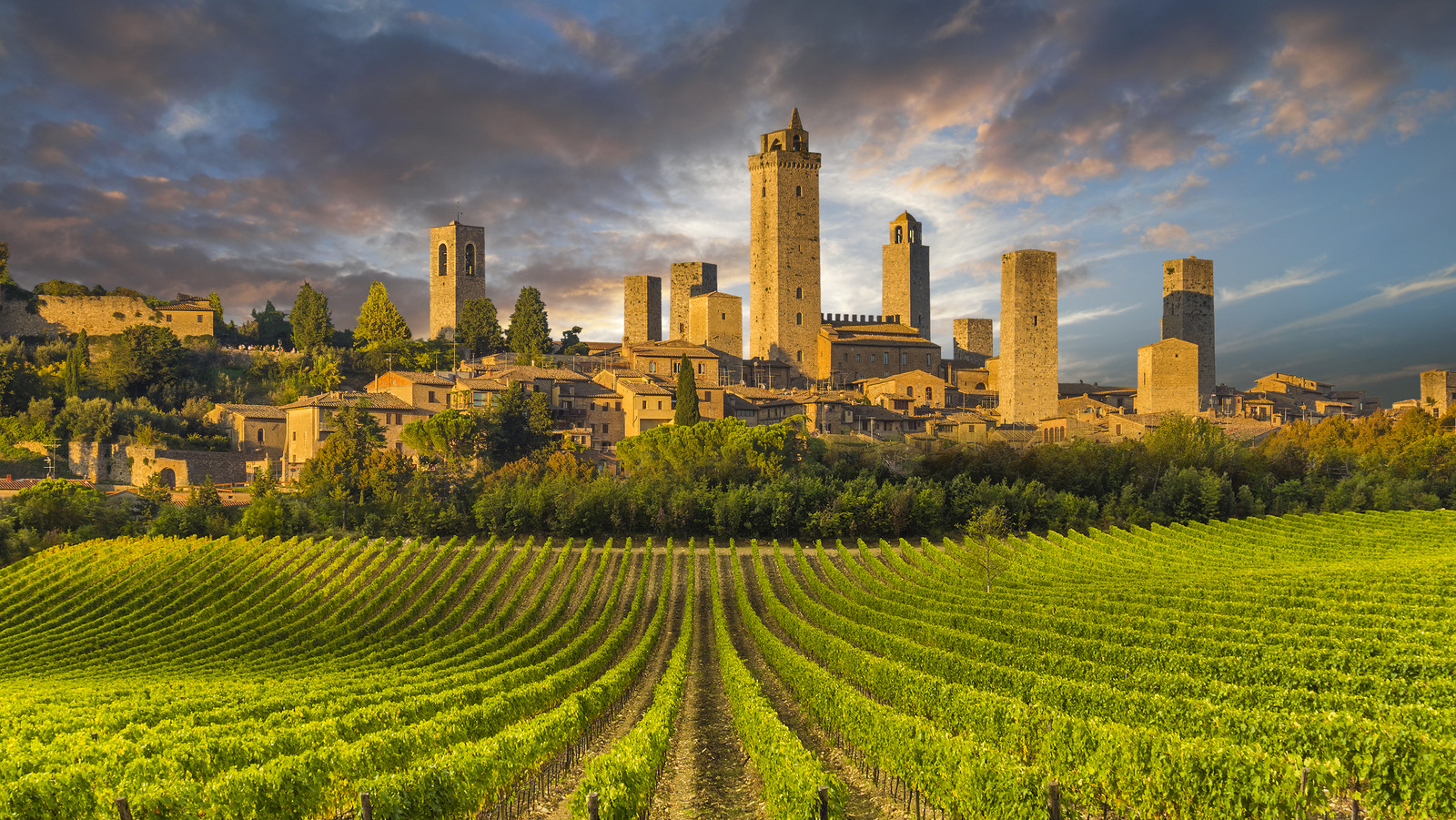 14 Bucket List Cities In Italy For Wine Tasting