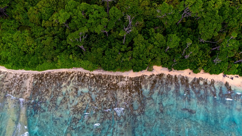 coastline of North Sentinel Island