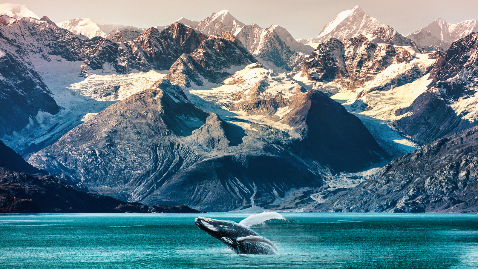 Best Way to Visit Alaska for the First Time: Ultimate Guide