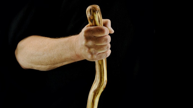 Hand holding walking stick