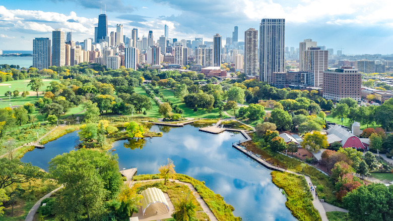 Aerial Chicago skyline