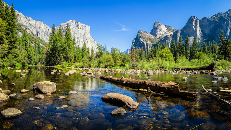 Natural beauty of Yosemite
