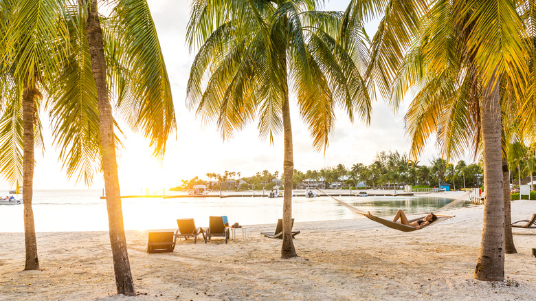 Beach in the Cayman Islands