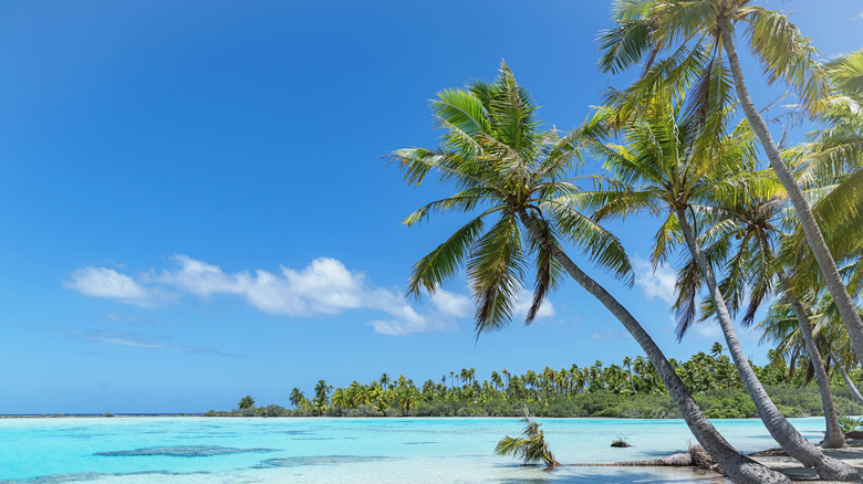 A lagoon in Polynesia