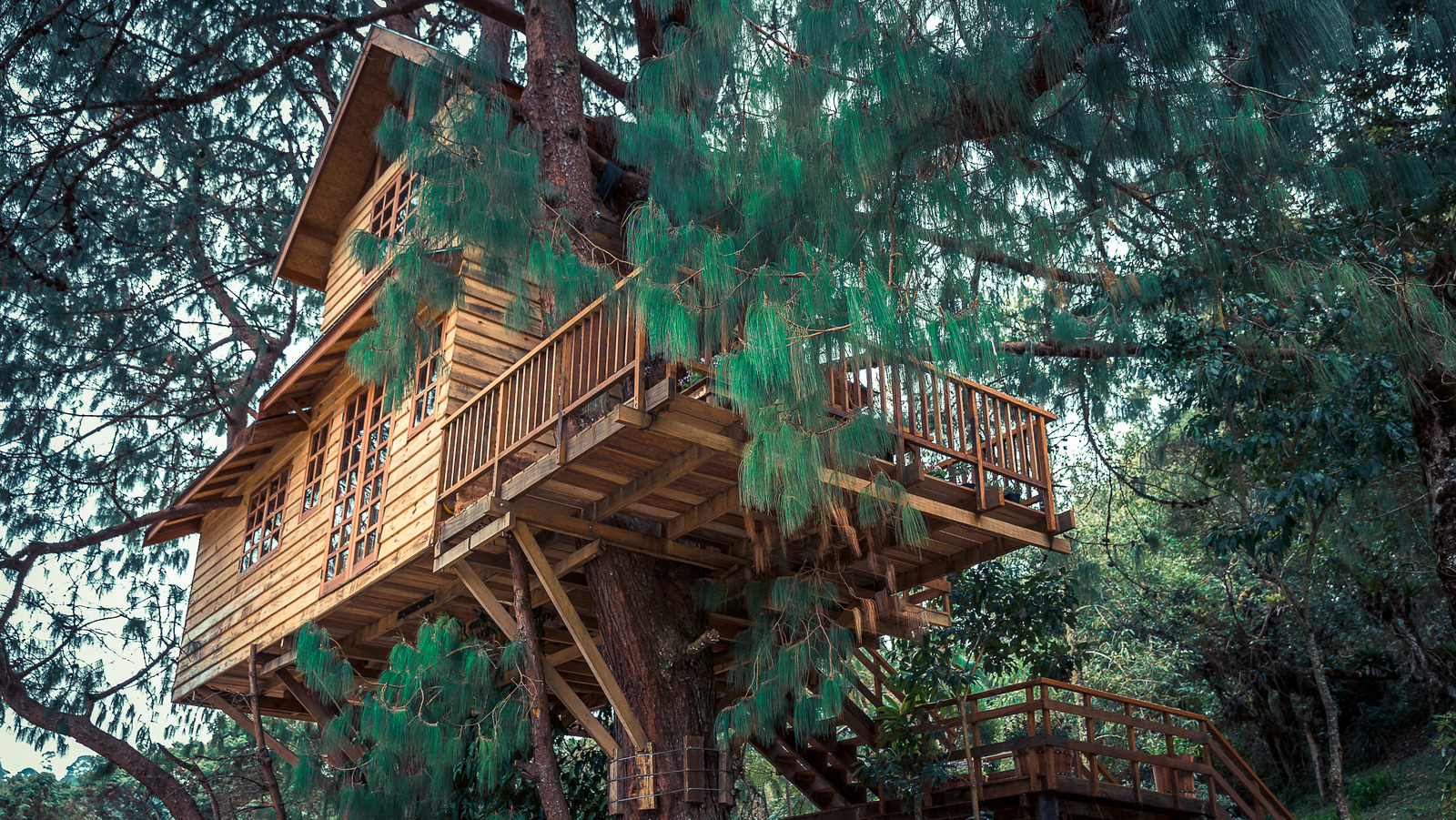 20 Treehouses You'll Want To Rent For Your Next Weekend Getaway