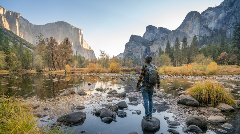 Man in Yosemite valley