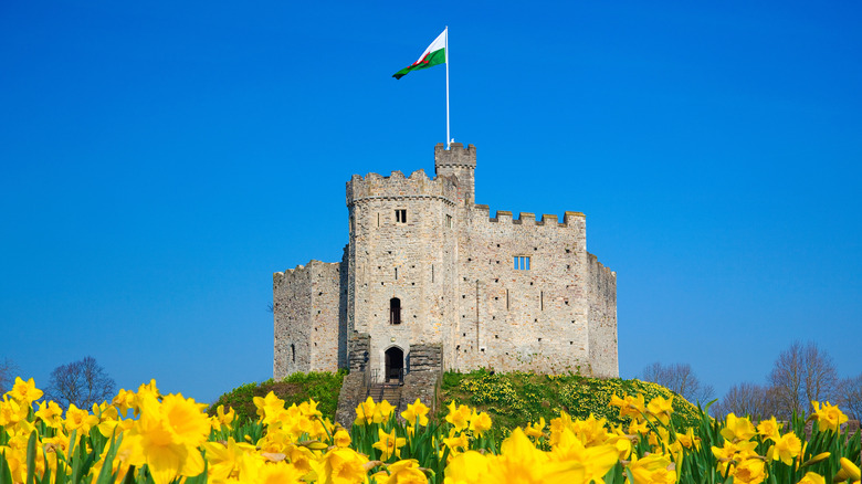 Cardiff Castle, Wales