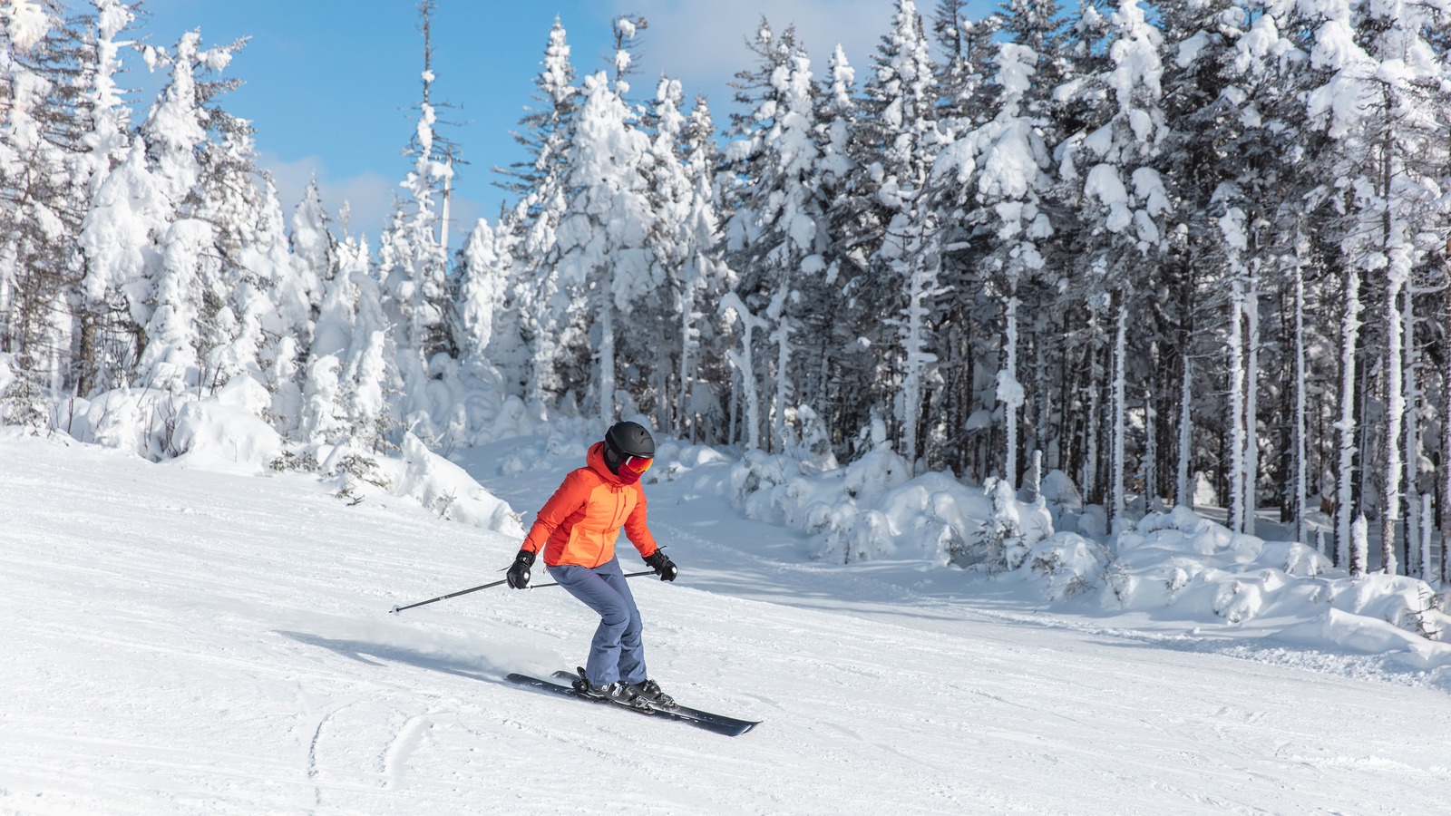 Alpine Skiing Downhill
