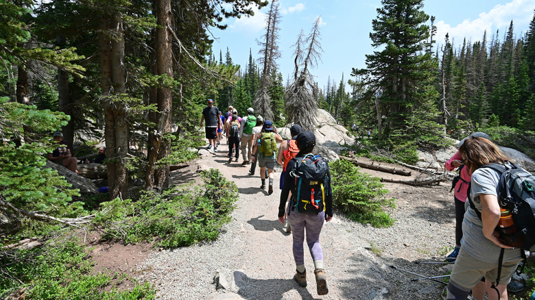 Crowds at Emerald Lake Trail
