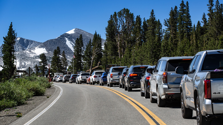 traffic to enter Yosemite