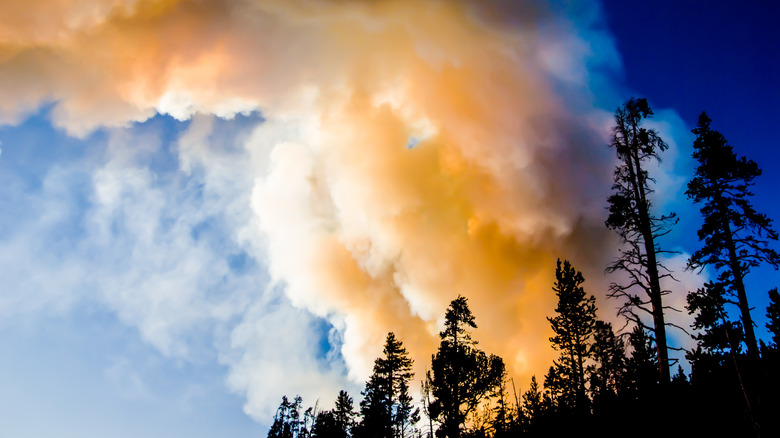 smoke from wildfire in Yellowstine