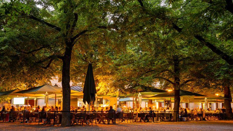 A busy beer garden in Germany under a canopy of trees lit up at night during the summer