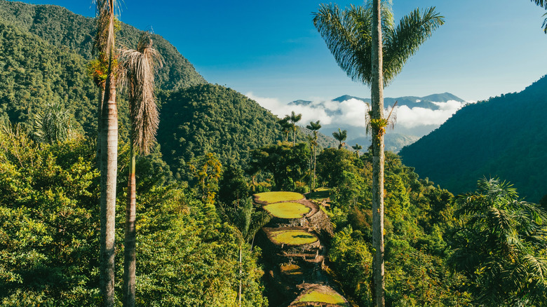 landscapes in the Lost City in Tayrona National Park in Colombia.