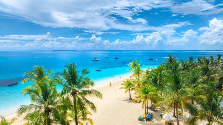 Beach with turquoise water and palm trees