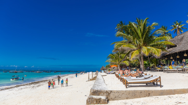A beach filled with tourists and palm trees