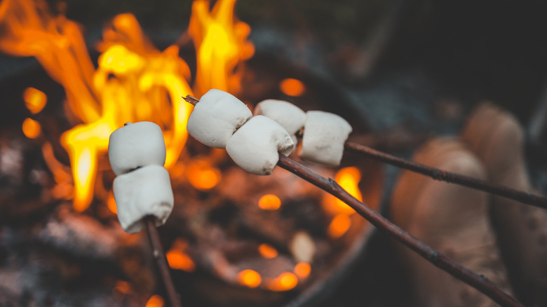 Roasting s'mores over a campfire