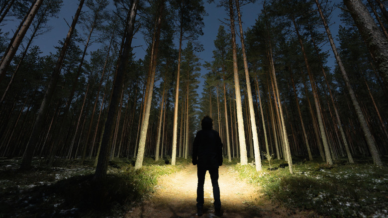 Person silhouetted behind their headlamp light with forest in front