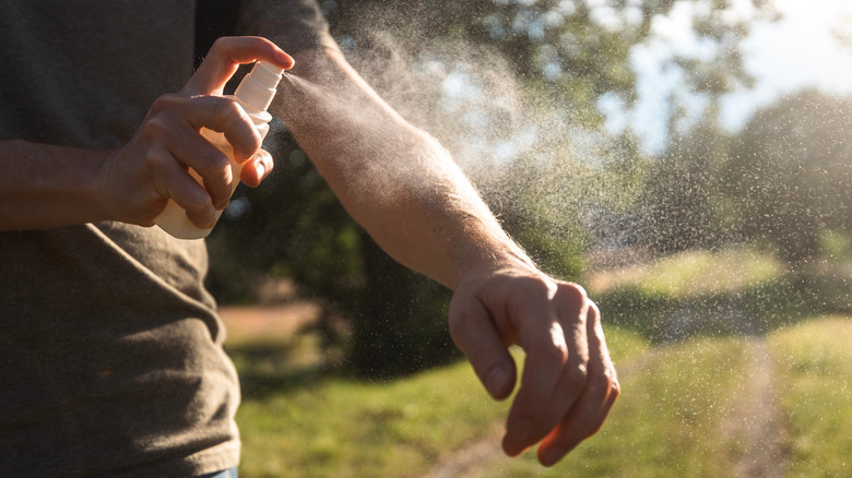 Person applying bug spray to their arm
