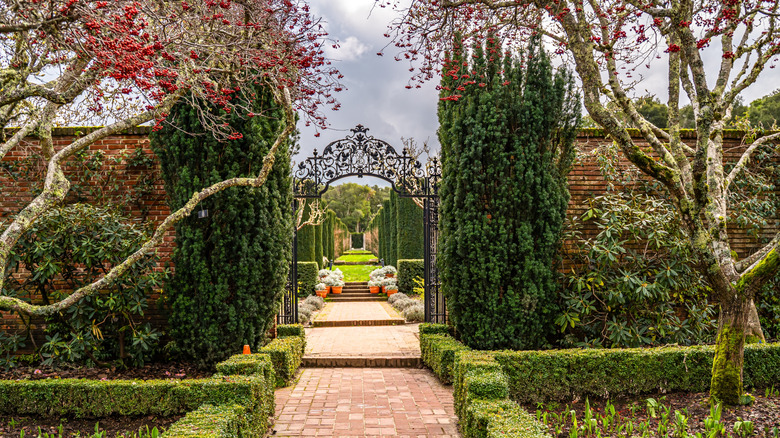 Beautiful arch with iron gate, Filoli Historic House and Garden