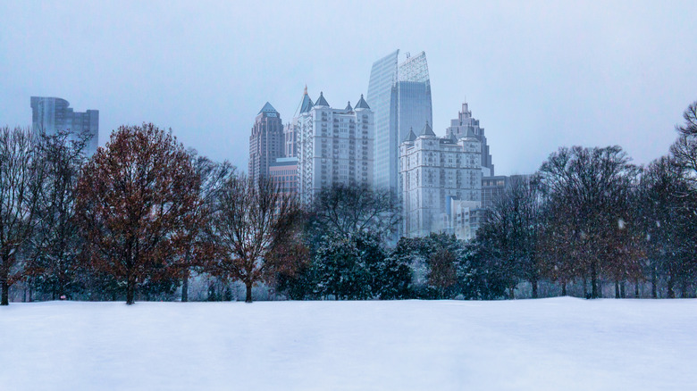 Piedmont Park, Atlanta, in the winter.