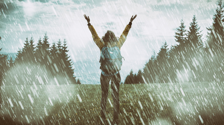 Hiker in forest on a rainy day