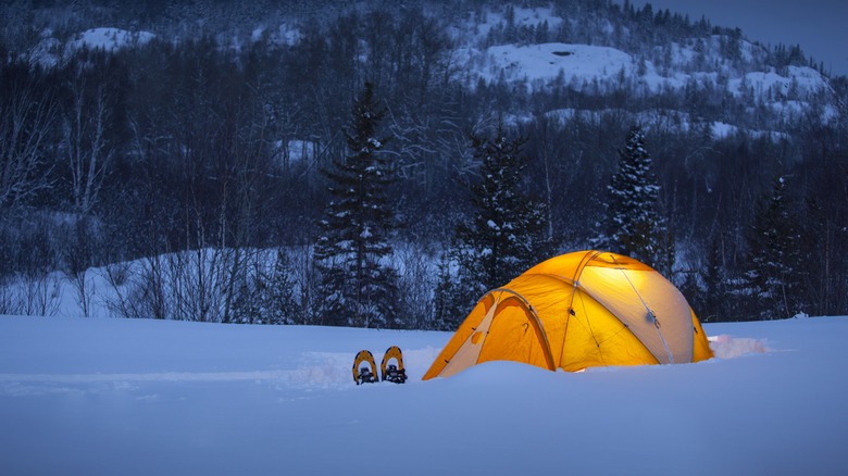 winter camping orange tent glowing from interior light in the snow
