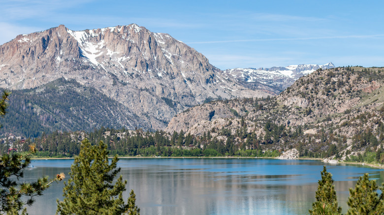 Granite mountain range and forest rising above June Lake
