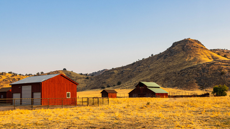 Red barn and cattle ranch below the Sierra Nevada foothills