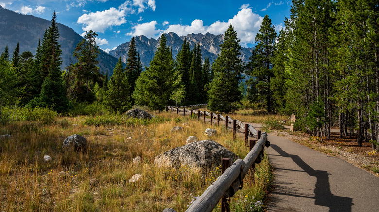 paved trail at jenny lake in Grand Teton National Park