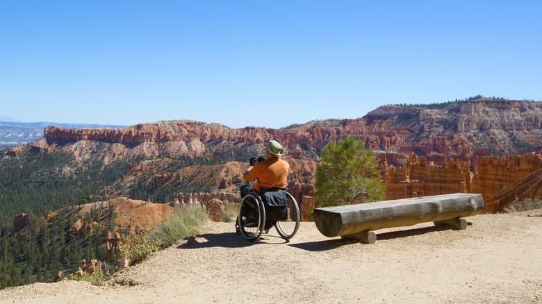 a man in a wheelchair looking at the view over canyons and forest