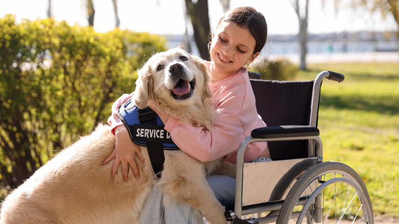 Child in a wheelchair with a service dog