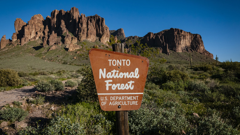 Tonto National Forest sign in front of a rocky landscape in Arizona
