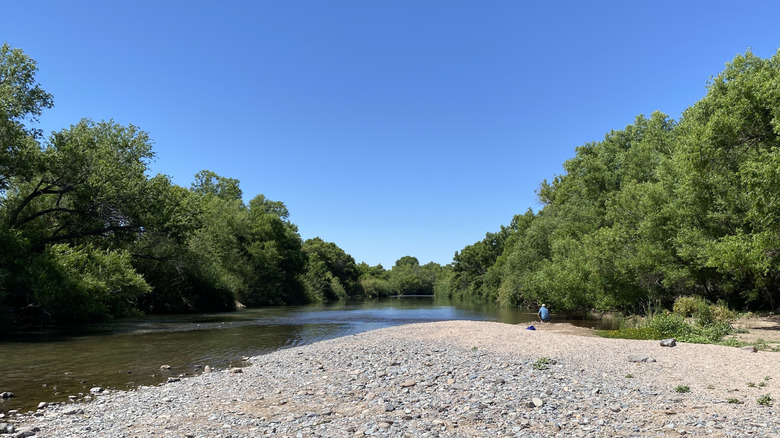 A rocky shore flanked on either side by green trees around the Verde River near Tonto National Forest in Arizona